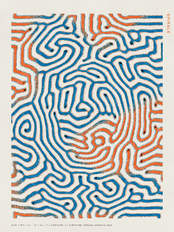 Spirale: Gray–Scott reaction–diffusion